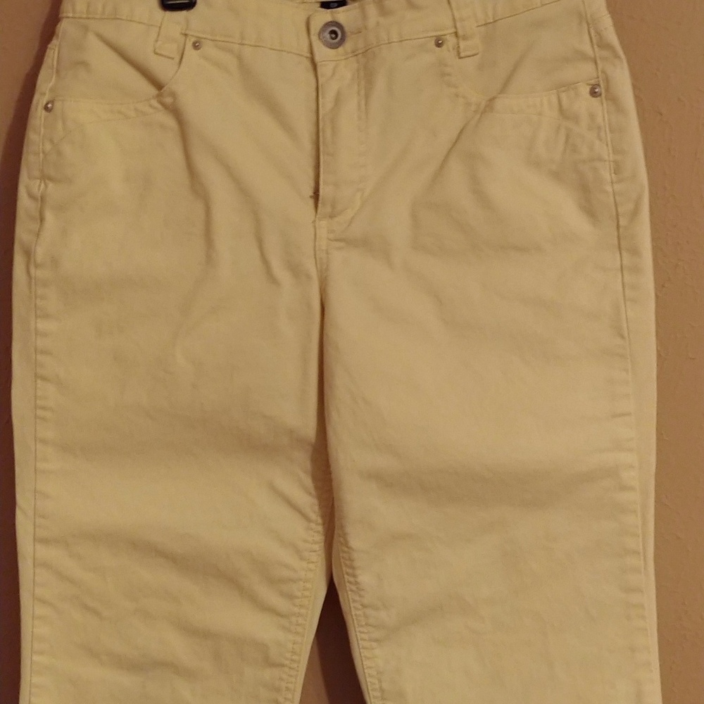 Gloria Vanderbilt size 12 petite. The perfect fit